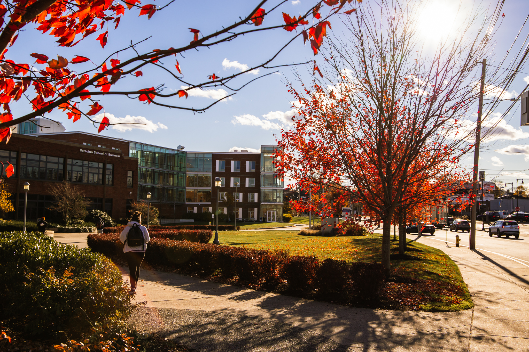 Fall foliage beauty on Harrington Campus