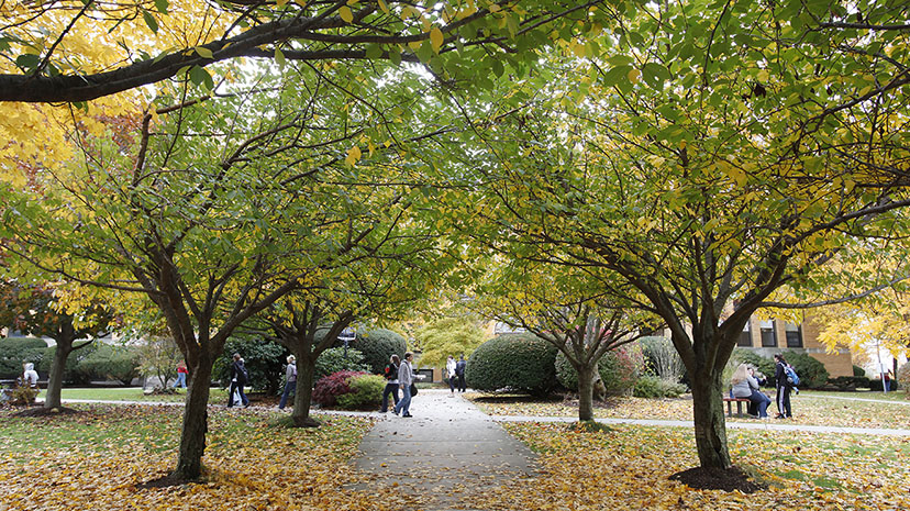 Sullivan Building (front) in fall foliage