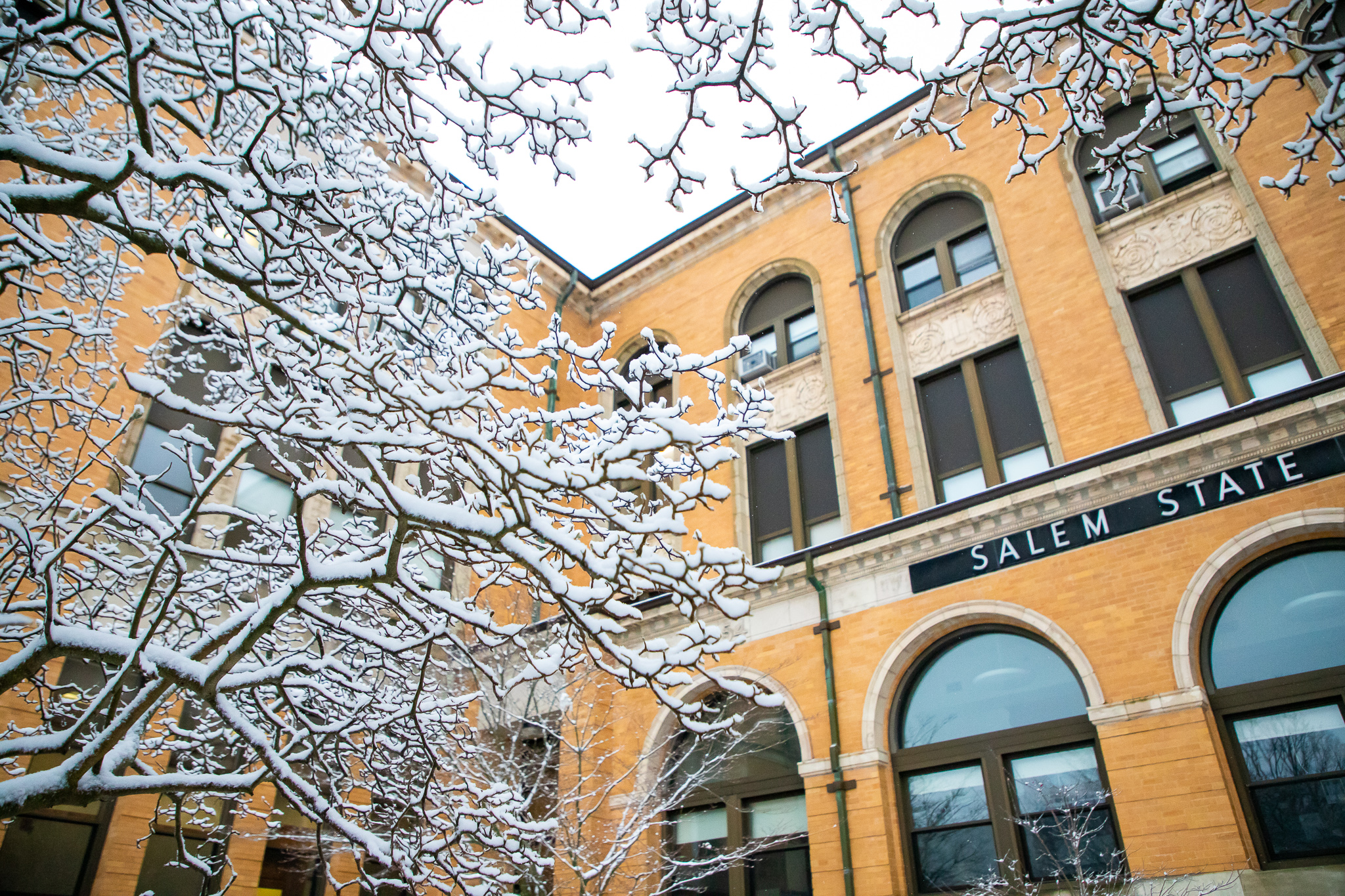 Snowy tree branches frame the Salem State sign on the Sullivan Building.