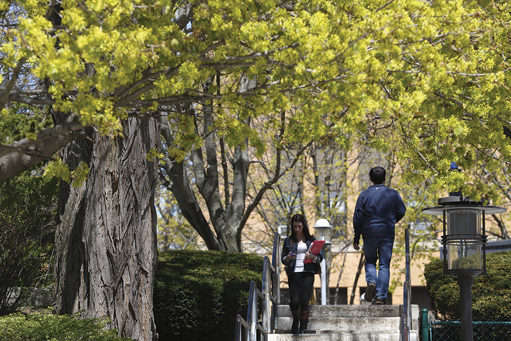 Salem State students walking outside