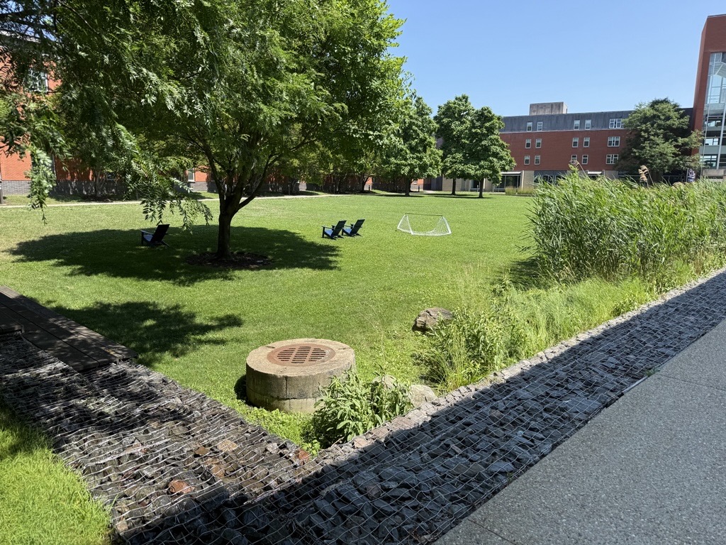 Marsh Quad