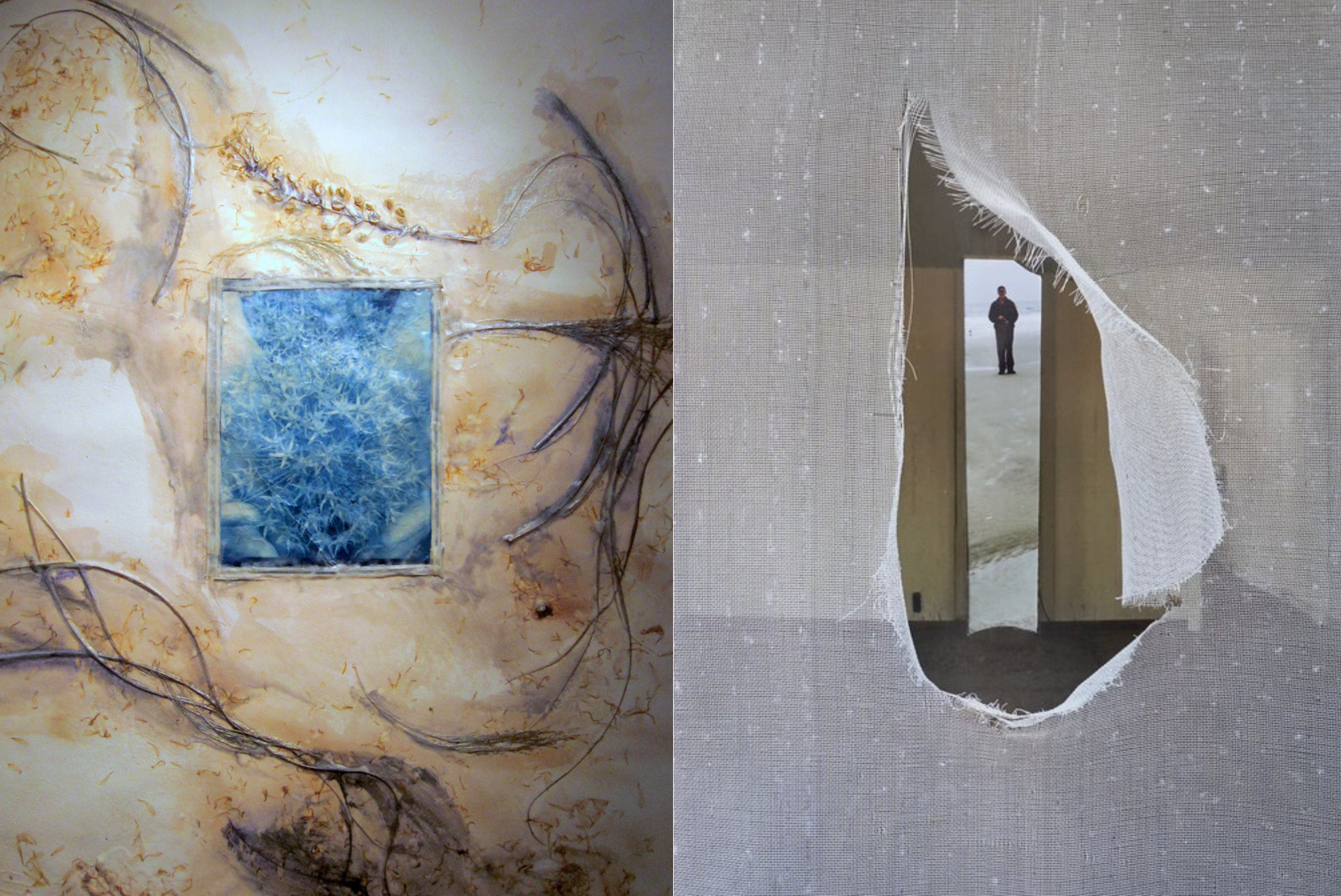 Images by Patricia Scialo and David Henry