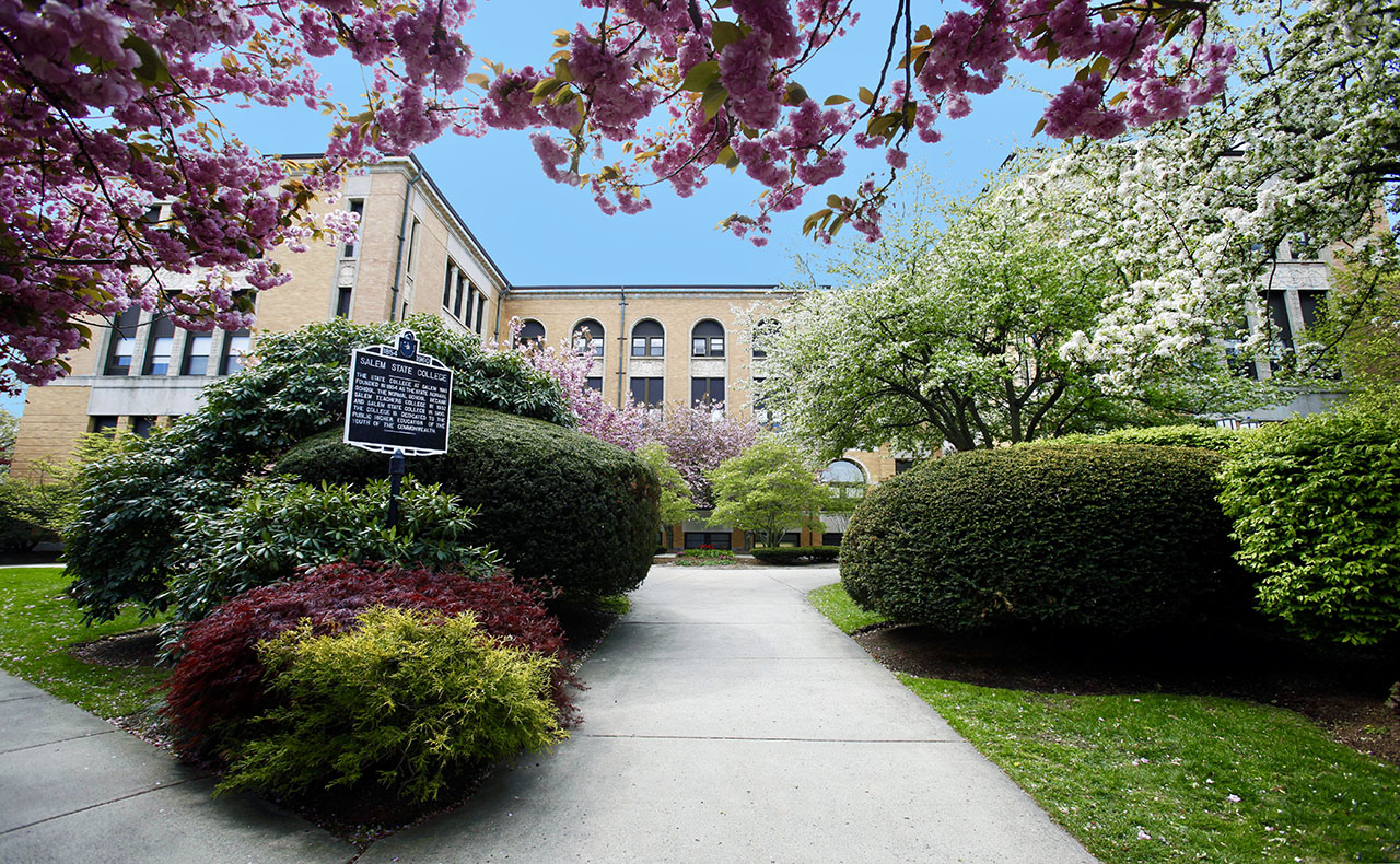 Sullivan in the spring.