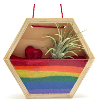 Wooden box with layers of colored sand and an air plant