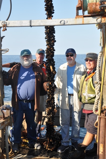 Offshore Mussel Farm harvest