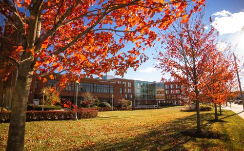 The façade of the Bertolon School of Business is framed by trees with red leaves.