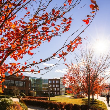 Viking hall in the background with red leaves in front