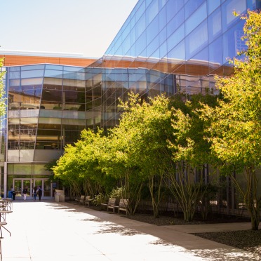 Green trees line the entrance path to the Berry Library at Salem State.