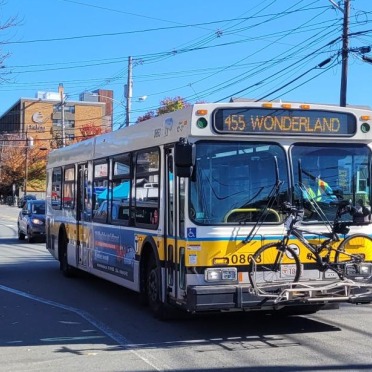 Bus going to Wonderland