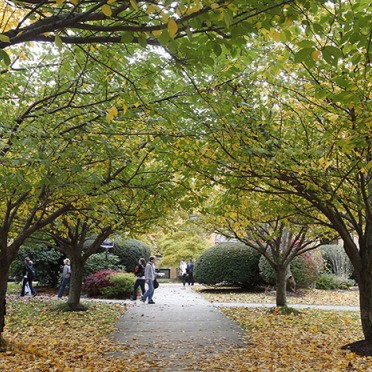 Sullivan Building (front) in fall foliage