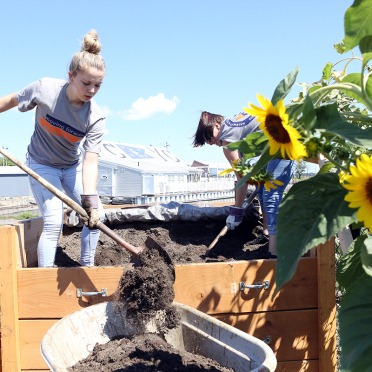 Salem State volunteer volunteering at a community garden