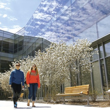 Students walking in front of the library on a very warm sunny day