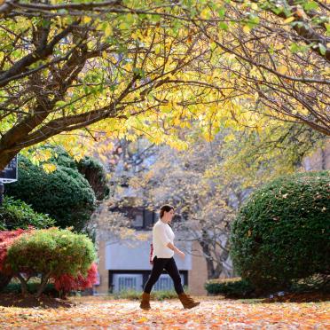 Student walking outside of Sullivan during the fall season