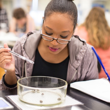 student in lab with experiment