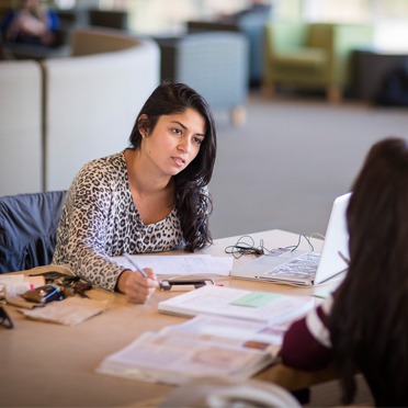 Student working in the library