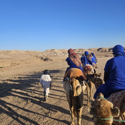 Students on Camels