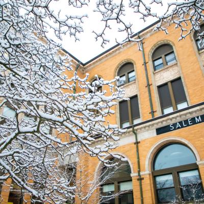 Snowy tree branches frame the Salem State sign on the Sullivan Building.