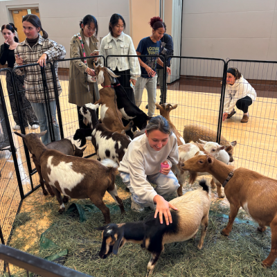 Petting Zoo Goats with Students
