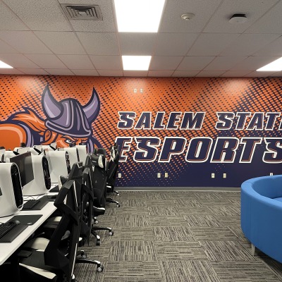 Esports Viking Wall