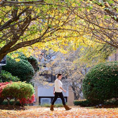A student walks in front of the Sullivan building under fall foliage