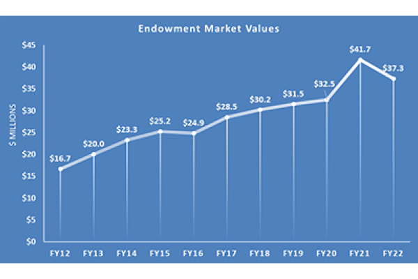 2022 Endowment Asset Allocation graph