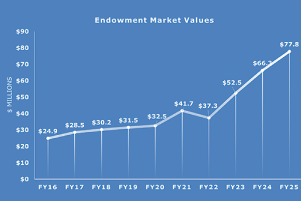 Endowment Market Value Growth FY2016-FY2025