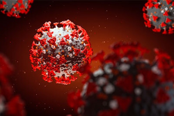 Coronavirus Cell
