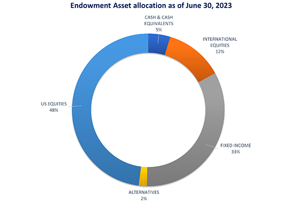 2023 Endowment Asset Allocation chart