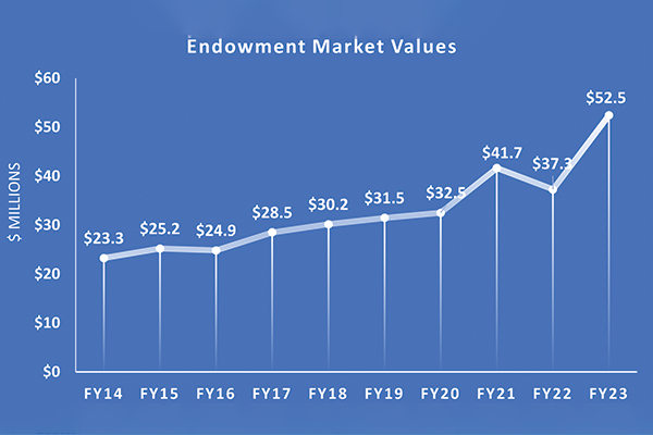 2023 Endowment Market Value graph