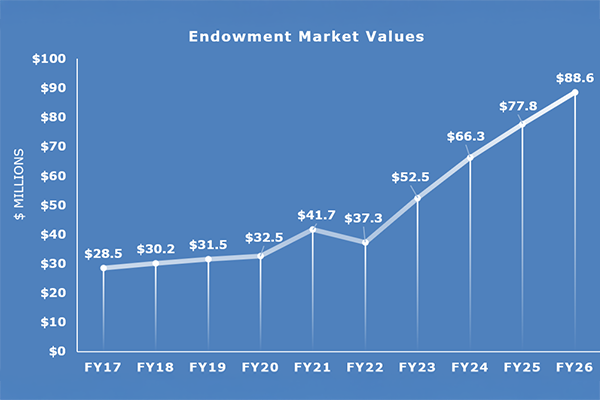 Endowment Market Value Growth 2026