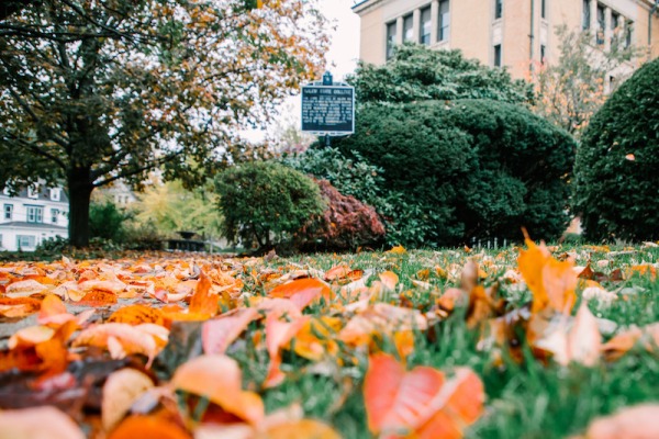 Leaves in front of the Salem State University Sullivan Building