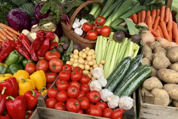 Fresh Harvest Pop Up Stand at Salem State