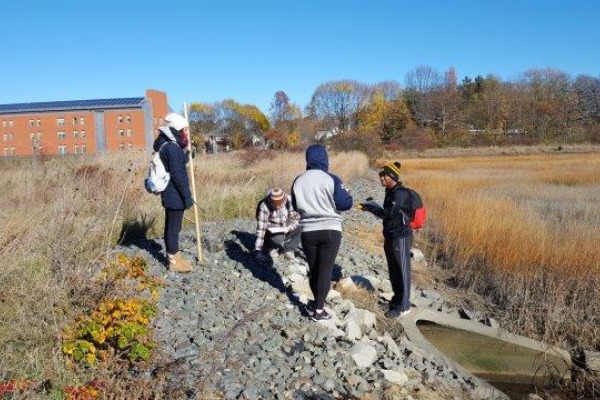 Students working in the field