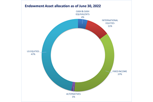 Endowment Asset Allocation pie chart