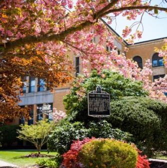Salem State blooming garden