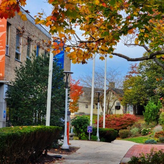 Campus during the Fall