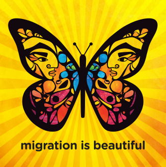 Migration is Beautiful
