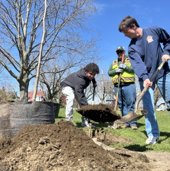 Salem State University students Adam Medrano and Cam Smith help plant a tulip tree in front of Sullivan Hall on Thursday, April 10 as part of the university’s Arbor Day celebration. The event also saw the announcement that Salem State University has 