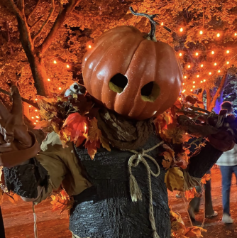 A person with a pumpkin head holds up a peace sign in front of orange twinkly lights
