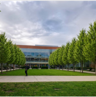 A mockup of additional trees in front of the Berry Library