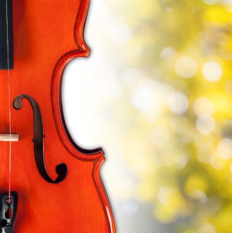 Violin in front of greenery