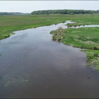 The Great Marsh in Essex County