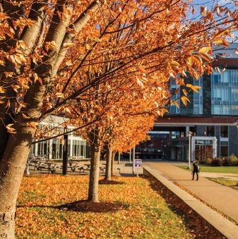Fall on Campus