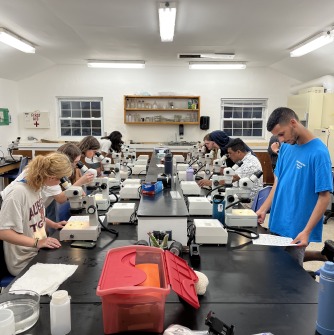 BIO399 lab work in Bermuda