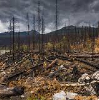 wild fire damage to Jasper National Park