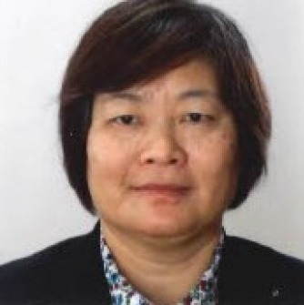 Professor Youqin Pan