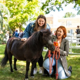 Two women petting a mini pony on the grass 