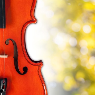 Violin in front of yellow bushes