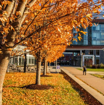 Students walking through campus during autumn