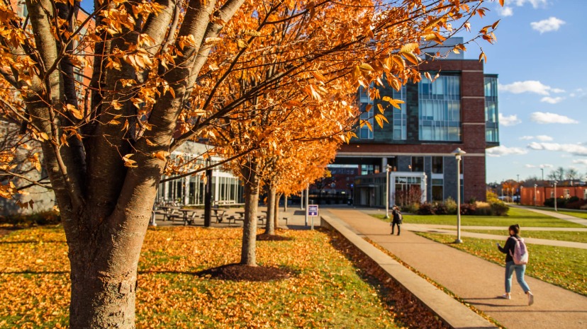 A fall afternoon on Salem State's central campus with crisp leaves falling from trees